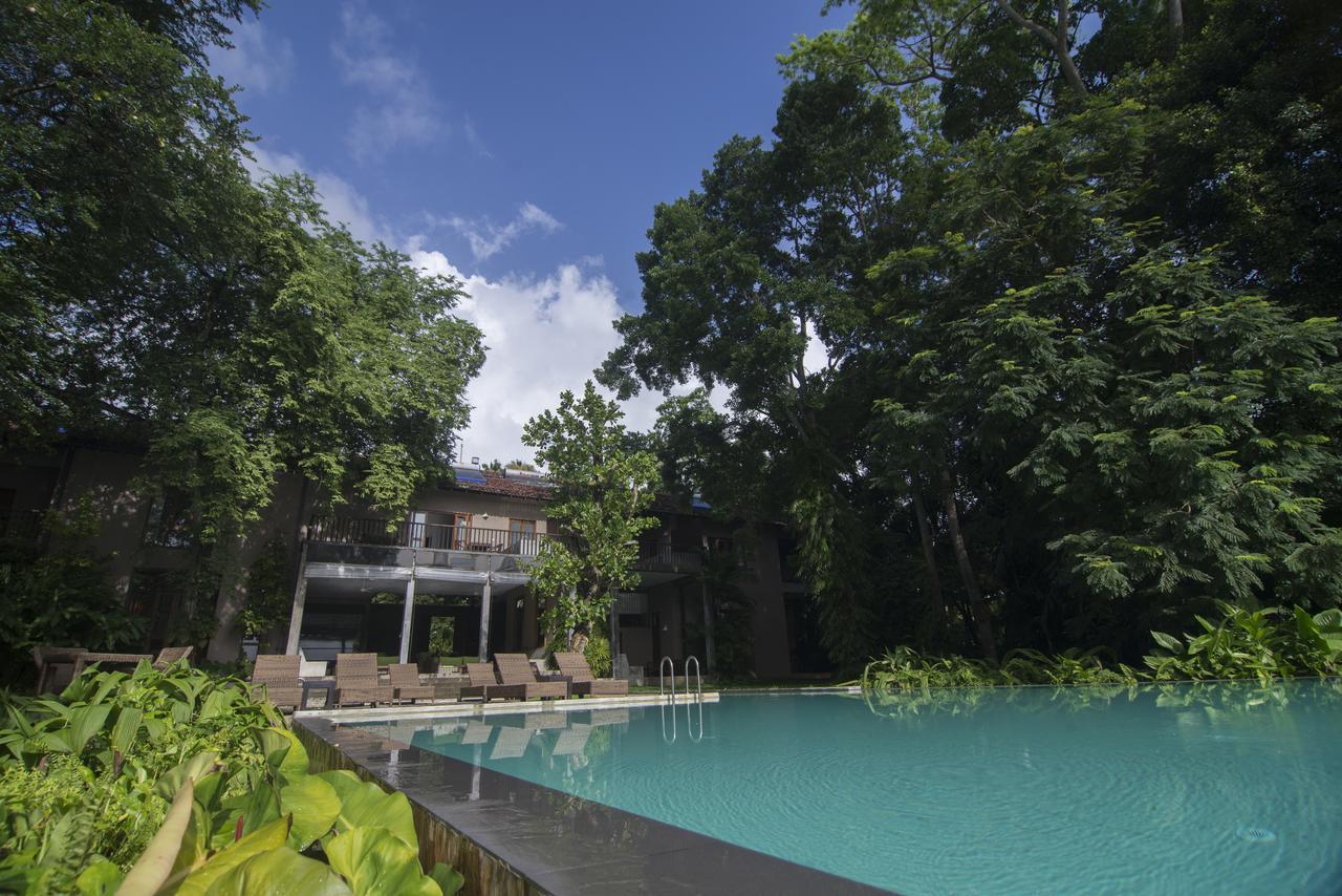 Roman Lake Ayurveda Boutique Resort - Level 1 Certified อาฮังกัลลา ภายนอก รูปภาพ